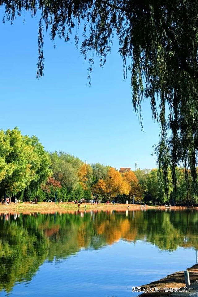 寻迹尖草坪丨初冬限定！这6处绝美风景，再不去真的要等一年！