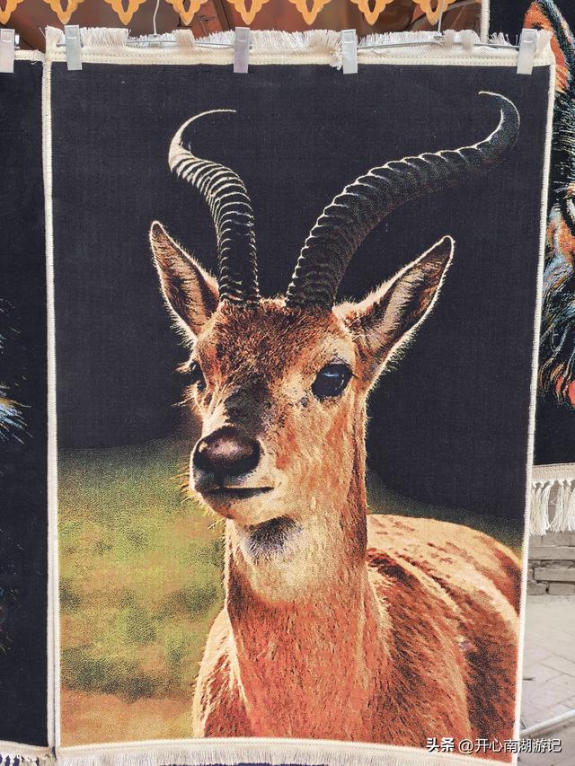 喀什经317到成都，在喀什休整一天，逛喀什古城东区和高台民居