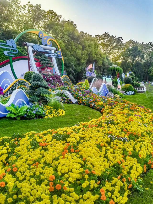11月30日:2025年上海菊花展华丽登场