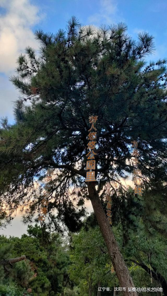 环游大东北之沈阳街头遛达