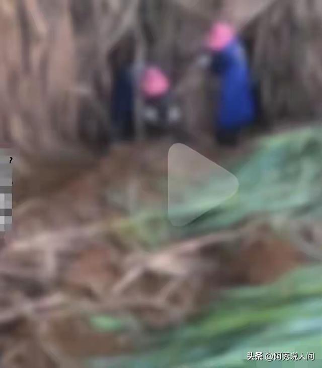 广西54岁李某被抓！潜逃5日躲石场山洞 被淋菜老太发现时浑身发抖