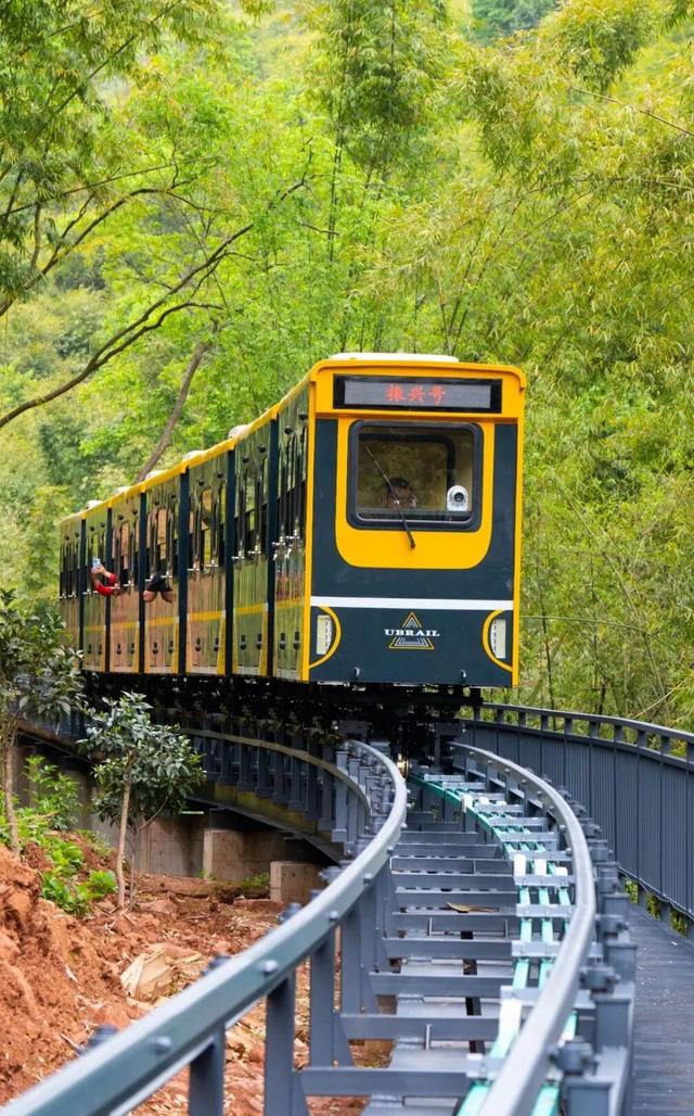 带爸妈出发！邛崃银发康养游线路来啦~