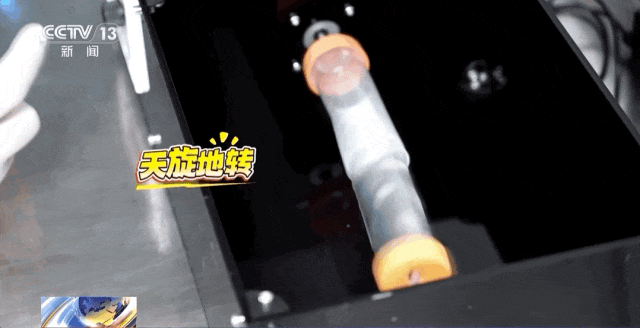 鼠鼠我也要上天了！我的训练你们想象不到……