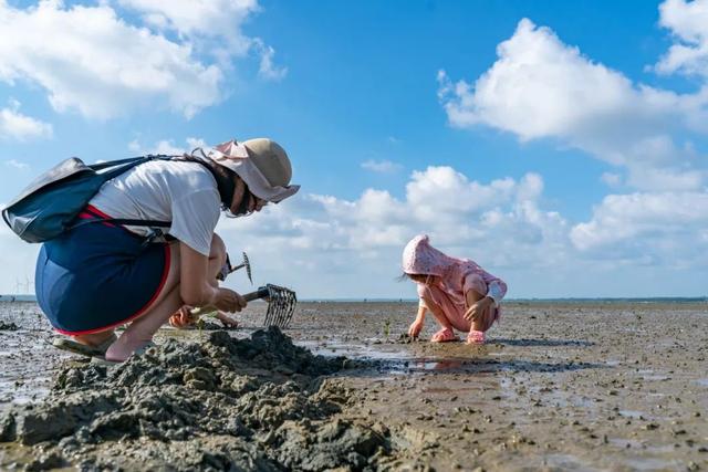 解锁湛江宝藏海岛！坐拥上万亩“天空之境”赶海胜地