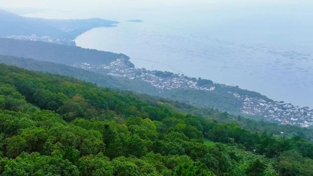 真的很美！2025苏州太湖观鸟超详细攻略来啦！