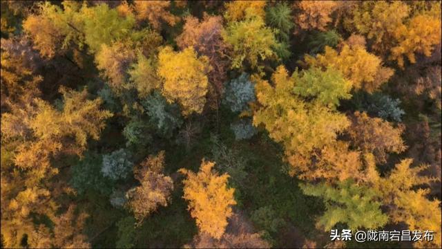 官鹅秋韵：在层林尽染中遇见“秋水天长”