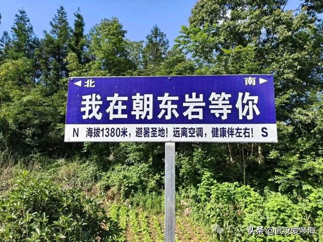 徒步利川朝东岩：华中绝壁的震撼与隐忧，环保徒步爱好者的见闻