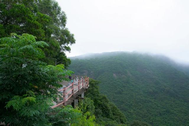 谁懂啊！2026还在路上，我的福气已经在东莞观音山爆仓了~