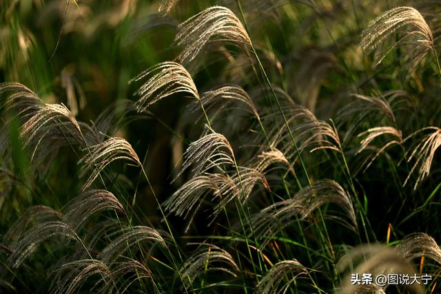 深秋时节，临汾有个富有诗意的好地方！