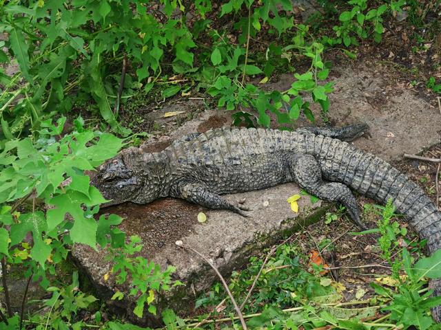 说它是安徽区域位置最好的城市，应该没人会反对吧？