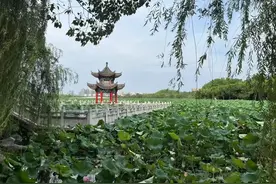 大武汉一日丨好凉快！武汉公园里免费开放图片