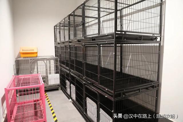 兴汉胜境景区“十大免费服务”大揭秘！薅到就是赚到！