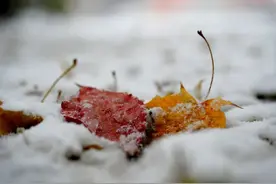 沈阳要下雪了？辽宁局部暴雪！具体下雪时间是……图片