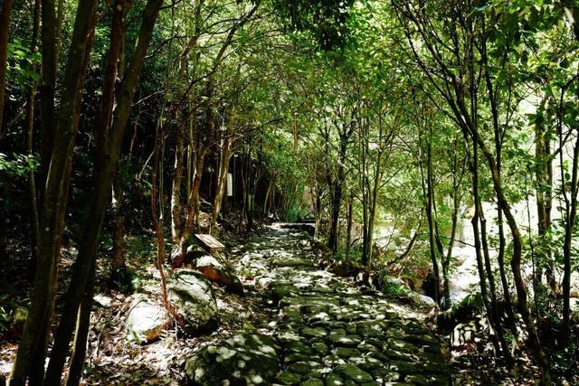 高铁1.5h！这座人少好玩无敌好吃的浙江名城，也免门票啦