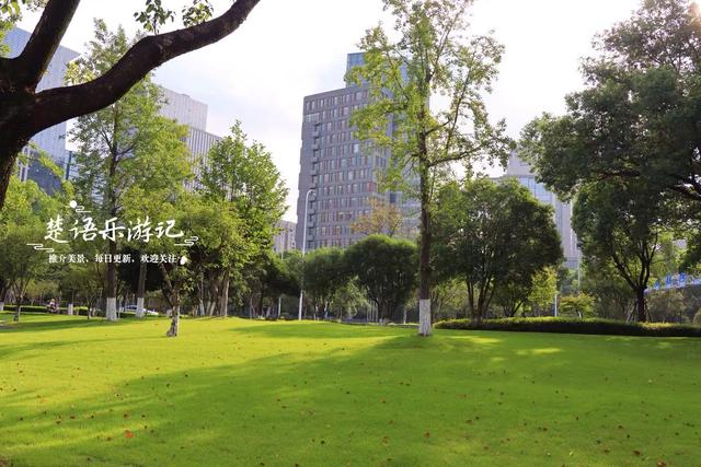 浙江宁波城区发现一处风景，小巧清幽但满池荷花，好有诗情画意