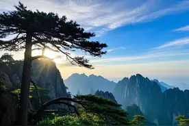 “人太老实，一眼便知”：太老实的人，常会有这七个显著特点图片