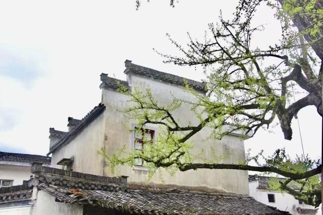 团圆不在喧嚣间，而在静谧旅途中 | 有一种团圆在徽州