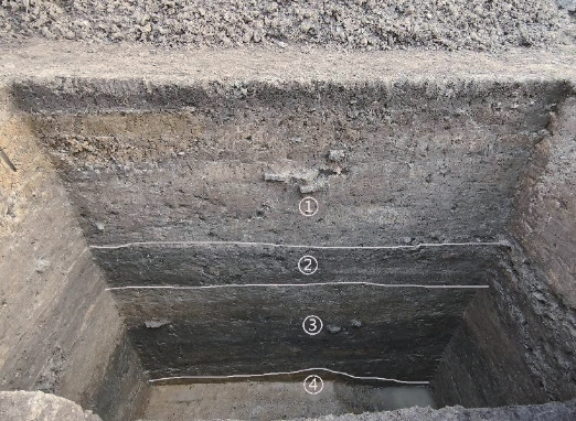 许诺：盐城市建湖县九龙口考古调查与勘探的收获
