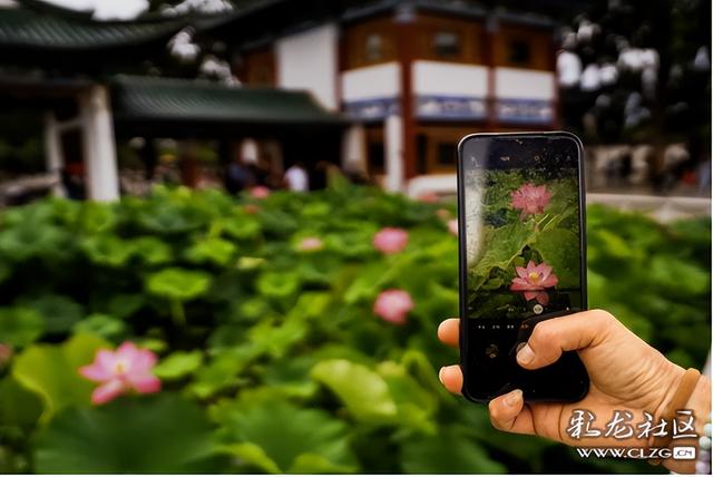 人潮花潮涌动大观楼