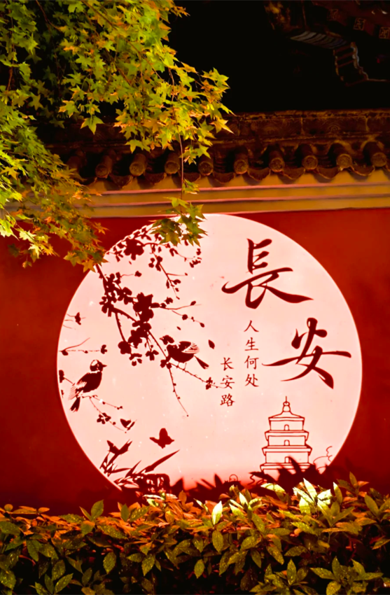 引爆文旅流量的20个场景设计｜2025网红场景这样造！