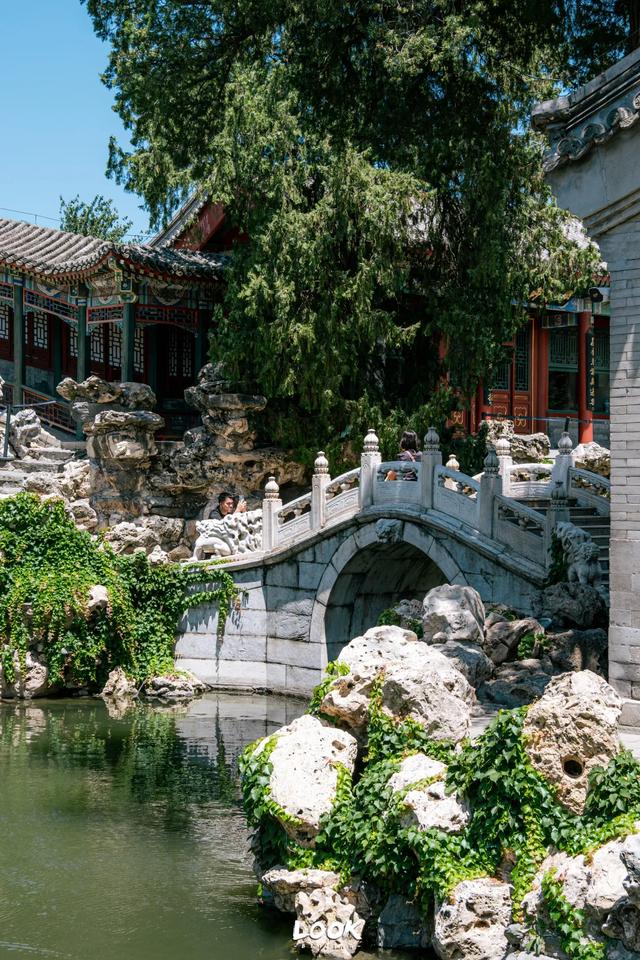 北海公园最美园中园,藏在这里