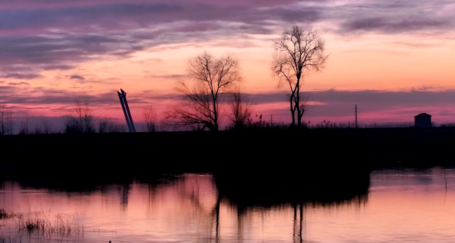 冬日里的多彩诗行