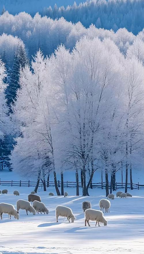 散文|｜过程里的繁花，比终点更绵长