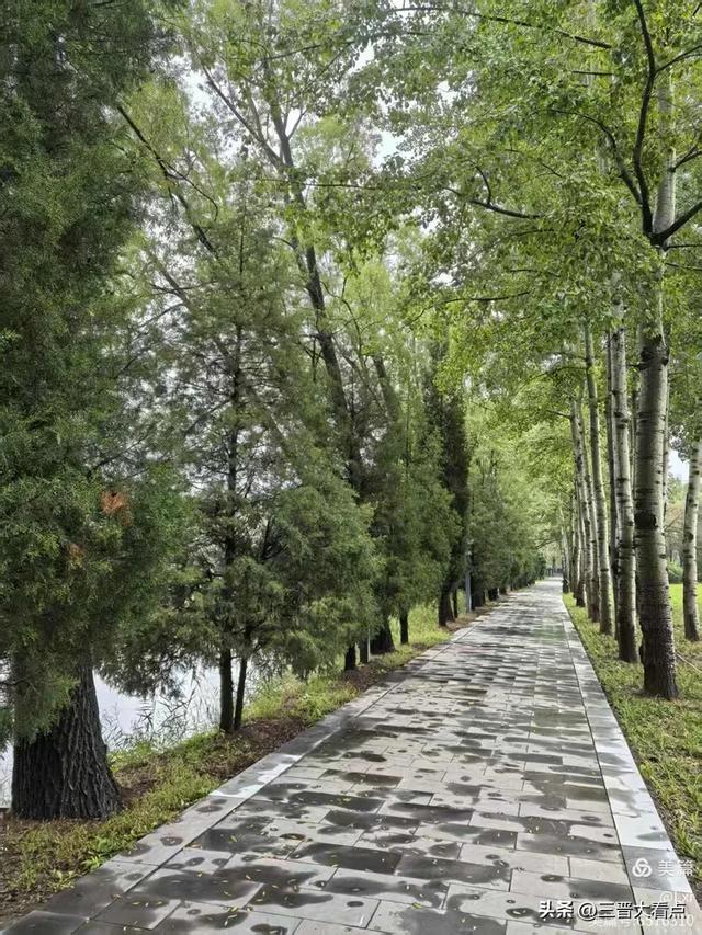 秋雨绵绵漳泽湖