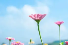 老公一言不合就发火，聪明的女人，会这样做图片