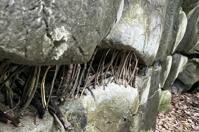 在南方的很多山区，为何总能见到大石头被小木棍撑着？有啥说法吗
