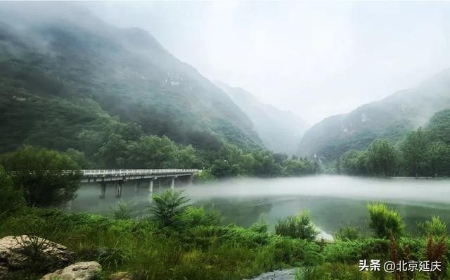 雨后延庆,氛围感MAX——