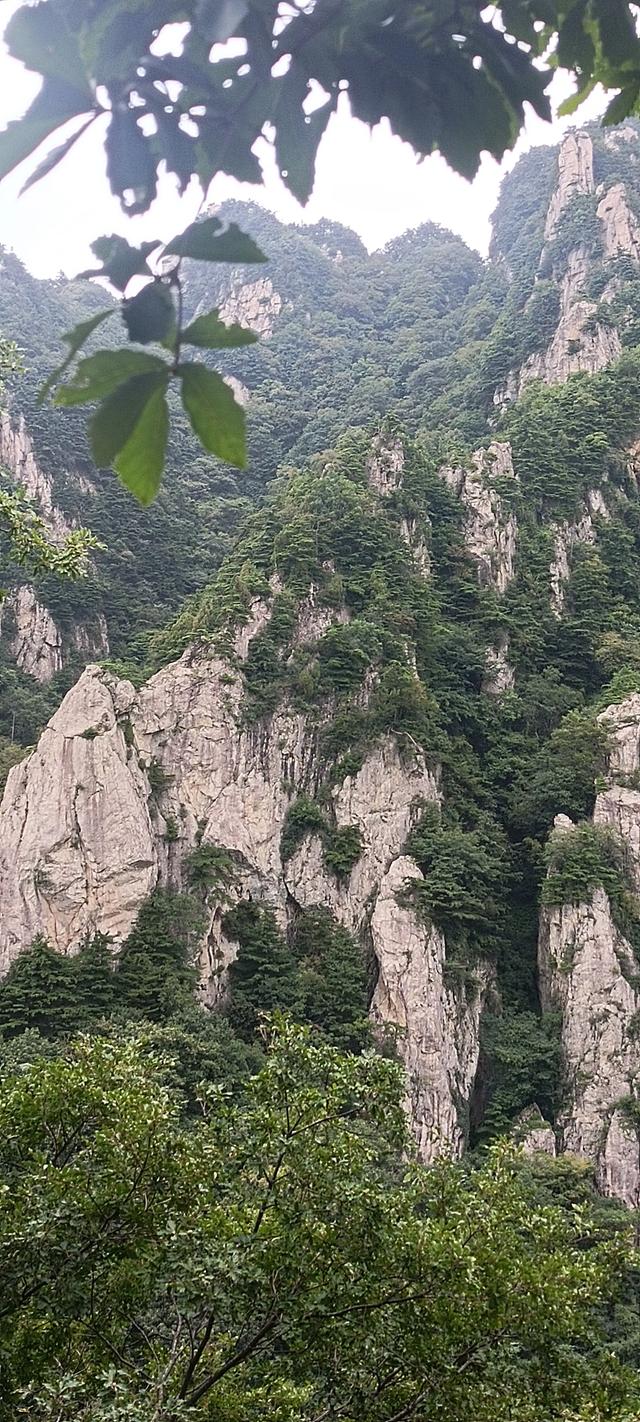 王顺山观景台风光