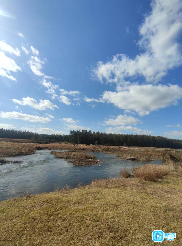 潍坊白浪河畔秋韵浓