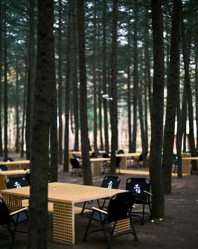 打卡诗意蓝田！私藏宝藏旅游地（三）