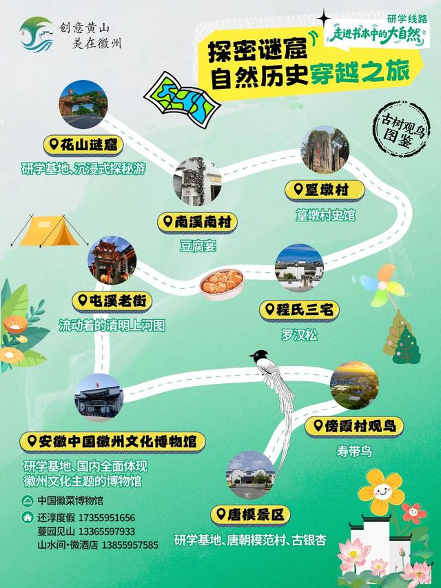 古树观鸟图鉴·研学线路① | 黄山研学太会了！《探密谜窟 自然历史穿越之旅》藏着多少惊喜？！| 皖美夏日