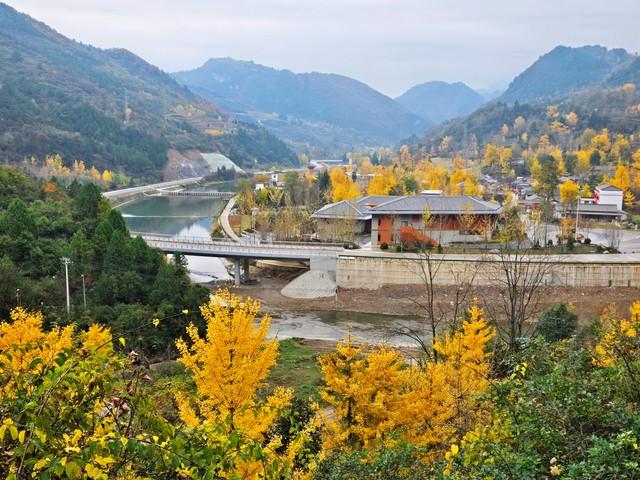 甘肃秋日限定丨三色交织的视觉盛宴，邂逅最诗意的陇原！