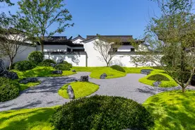 院子里不想铺草皮？这10种地被植物千万不能错过，效果太好了！图片