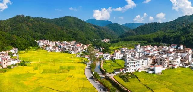 秋日限定!速来围观肇庆的绝美风光~