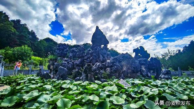 【东方微笑 多彩麦积】摄影师看麦积 | 净土寺风光（上）