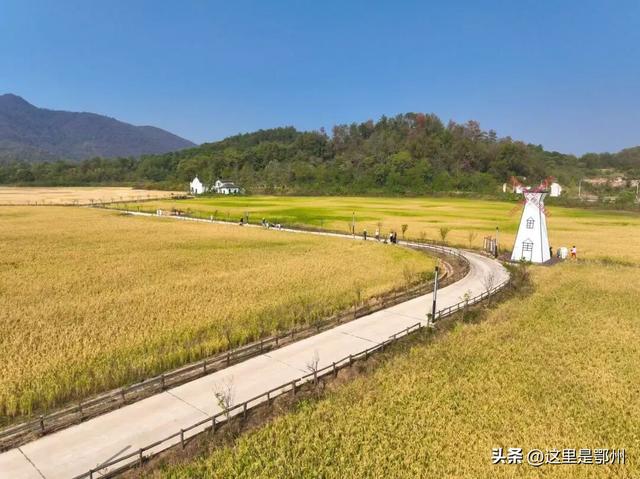 在鄂州，“巅峰相见”