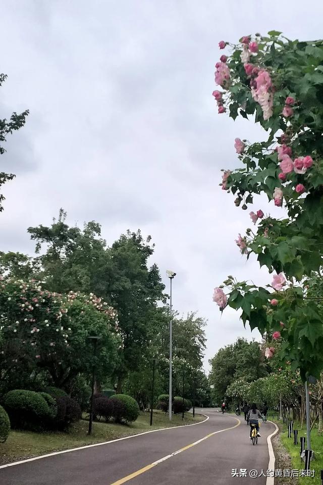 旅行的搭子没找好,真不如一个人流浪