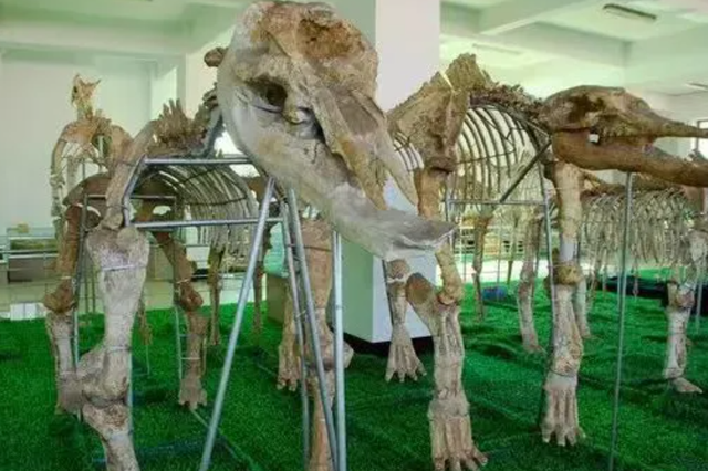 临沂人游临沂 | 一大波景区优惠福利来了