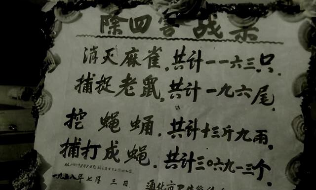 1958年全民打麻雀：工人、农民、学生齐上阵，麻雀被活活累死