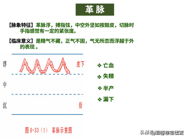 中诊入门：浮、散、革、芤脉，沉脉对比伏、牢脉，文末附《指法》