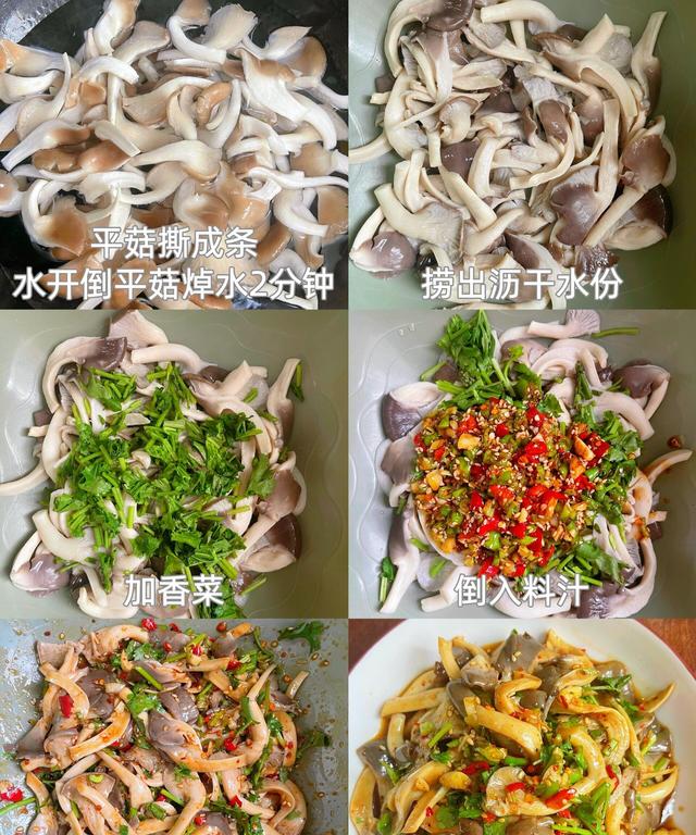 秋天的宝藏食材！五种平菇做法，让你吃到停不下来