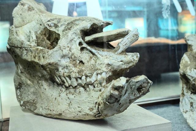 河源景点排行榜，广东河源最值得去的6个好玩景点，你去过几个？