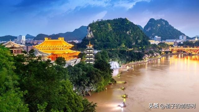 一张旧船票，从基隆到厦门，载着半个世纪沉甸甸的乡愁