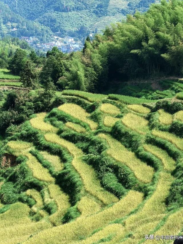 童话世界，田园风光｜永畅