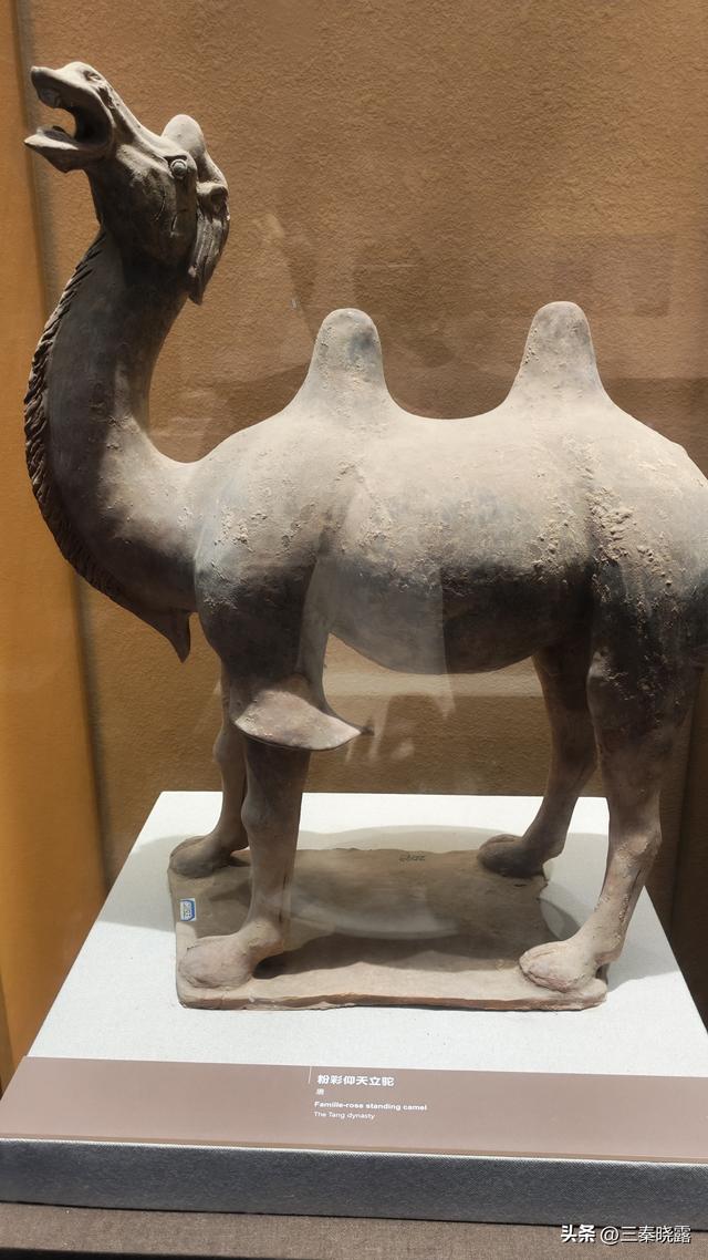 假期里逛蒲城文庙和户县文庙，看看两地有啥不同