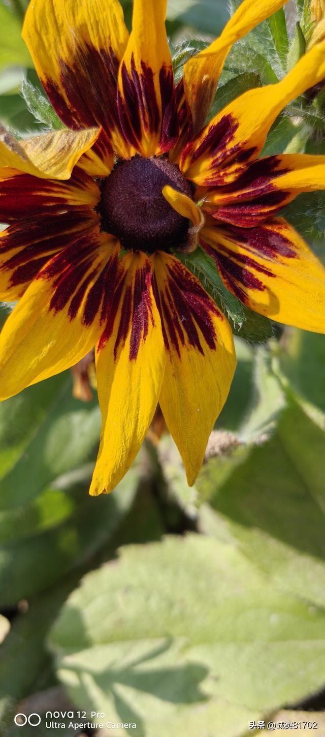 人怕欺骗，情怕伤，人心最害怕是欺骗